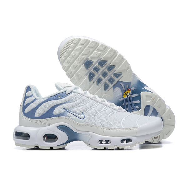 Nike Air Max Plus TN Ashen Slate